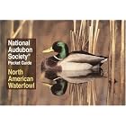 National Audubon Society Pocket Guide to Waterfowl (National Audubon Society Pocket... by  NATIONAL AUDUBON SOCIETY