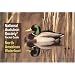 National Audubon Society Pocket Guide to Waterfowl (National Audubon Society Pocket Guides)