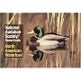 National Audubon Society Pocket Guide to Waterfowl (National Audubon Society Pocket Guides)