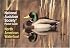 National Audubon Society Pocket Guide to Waterfowl (National Audubon Society Pocket Guides)