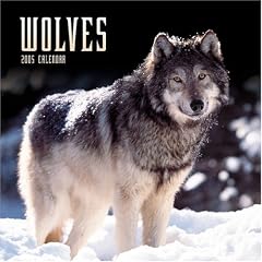 Wolves 2005 Calendar