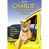 Charlie, the Lonesome Cougar