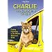 Charlie, the Lonesome Cougar