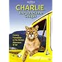 Charlie, the Lonesome Cougar