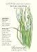 Chinese Garlic Chives Seeds - 1 gram - Perennial Herb