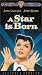 Search : A Star Is Born