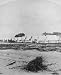 1900 photo Shelter for the homeless, Galvestons awful disaster Row of tents set up to house survivor