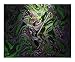 526131 Abstract Photographic Poster Print by William Malo, 24x20