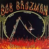 Review Bob Brozman  / Devil's Slide