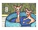 Chihuahua Dog Buddies