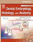 Dental Embryology, Histology, And Anatomy