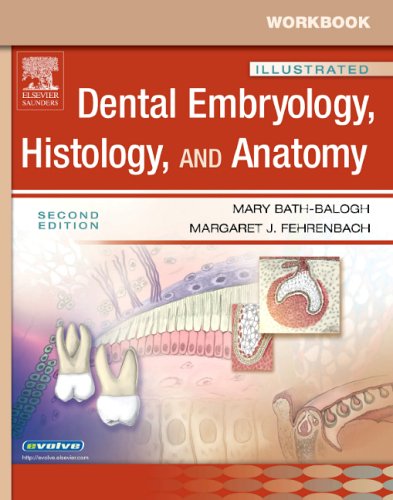 Dentistry