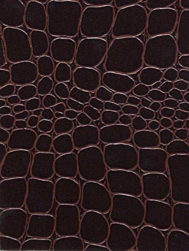 Hot Off The Press - Crocodile Brown paper
