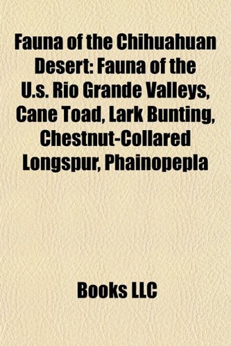 Fauna of the Chihuahuan Desert: Birds of the U.S. Rio Grande Valleys, Fauna of the U.S. Rio Grande Valleys, Cane toad, Oryzomys couesi