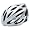 Silver/White