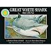 Great White Shark: Ruler of the Sea - a Smithsonian Oceanic Collection Book