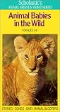 Animal Babies in Wild by Warner Home Video