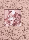 Cats Little Scribbles
