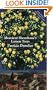 Monsieur Shoushana's Lemon Trees Pb