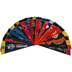 Rico Nhl Mini Pennant Set (All 30 Teams)