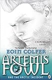 Artemis Fowl and the Arctic incident