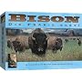 Bison