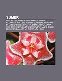 Sumer: Nippur, Gilgamesh, Isin, Liste Royale Sumrienne, Enmerkar Et Le Seigneur D'Aratta, Umma, Sn, Tendard D'Ur, Vase D'Entm