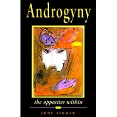 Androgyny: The Opposites Within (Jung on the Hudson Books)