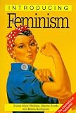 Introducing Feminism, 2nd Edition (Introducing...(Totem))