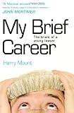 My Brief Career: The Trials of a Young Lawyer