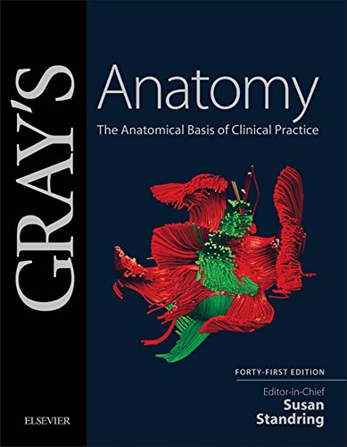 Gray's Anatomy: The Anatomical Basis of Clinical Practice