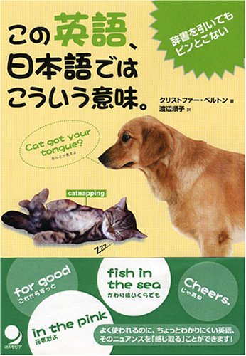 豊田順子のアイテム画像