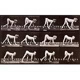 Child Crawling, photo Eadweard Muybridge (Print On Demand)
