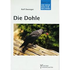 Die Dohle. Corvus monedula