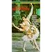 Nureyev's Don Quixote / Lanchbery, Nureyev, Helpmann, Aldous, Australian Ballet [VHS]