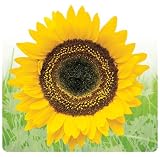 Yellow Sunflower Floral Computer Mouse Pad Mat