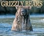 Grizzly Bears