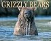 Book Grizzly Bears