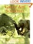 Great Ape Societies