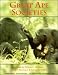 Great Ape Societies