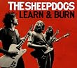 Learn & Burn (Deluxe)