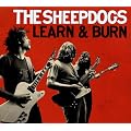 Learn & Burn (Deluxe)