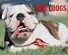 Just Bulldogs 2005 Calendar