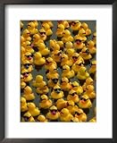 The Make-A-Wish Foundation Releases Rubber Ducks into the Ocean Associated Press Collection Framed Art Poster Print, 18x22