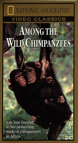 National Geographic's Among the Wild Chimpanzees