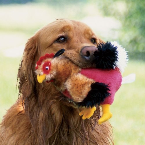Rooster Squeak Toy / Regular 6″H