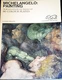 Michelangelo - painting : the life and work of the artist illustrated