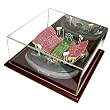 4750 Limited Edition, Platinum Series stadium replica of Clemson College Memorial Stadium - Home of the Tigers, with mirrored platinum series collector case