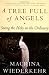 A Tree Full of Angels: Seeing the Holy in the Ordinary