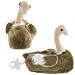 Ostrich Animal Slippers for Women and Men